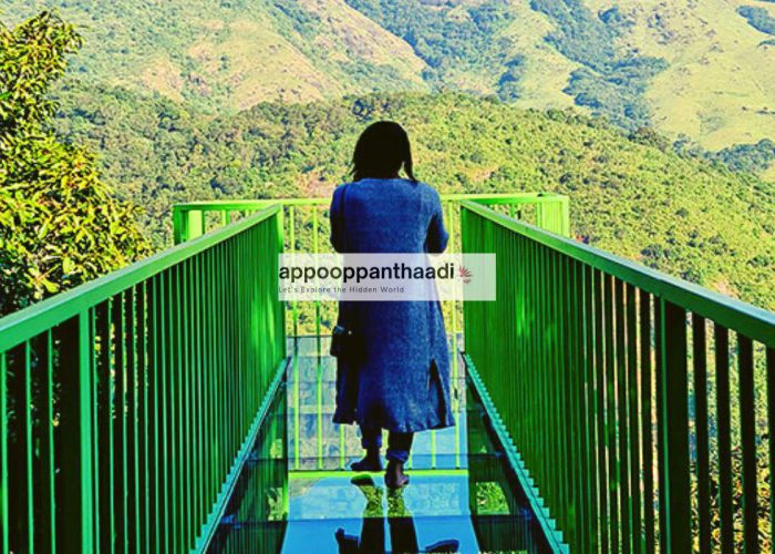 appooppanthaadi-trip