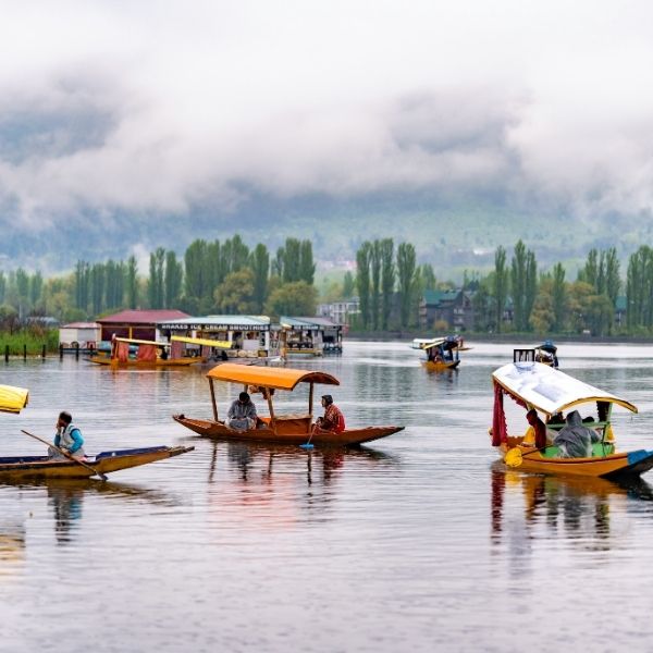 Kashmir