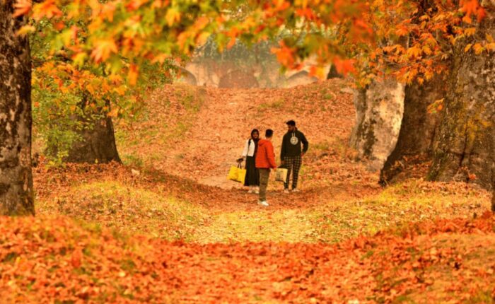 appooppantaadi-kashmir