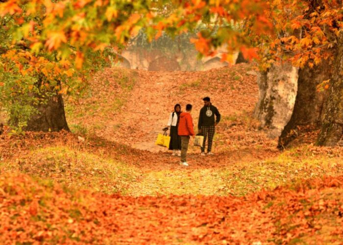 appooppantaadi-kashmir