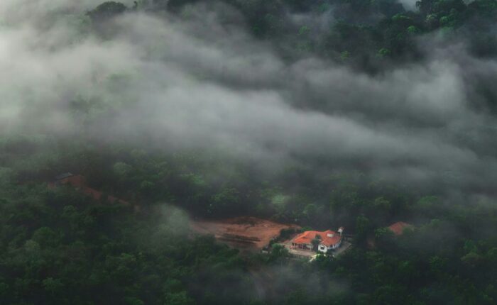 appooppanthaadi-agumbe