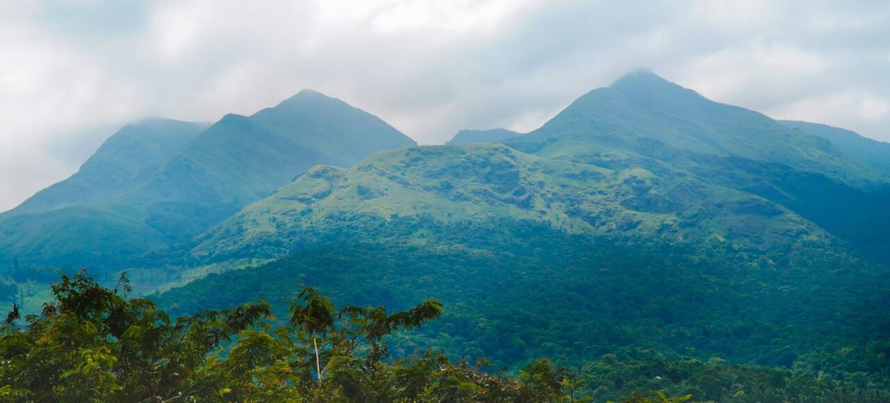 ppooppanthaadi-tour-koonichimalai