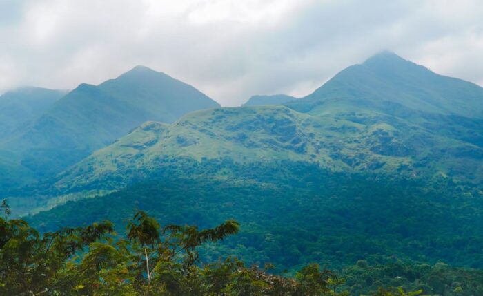 ppooppanthaadi-tour-koonichimalai