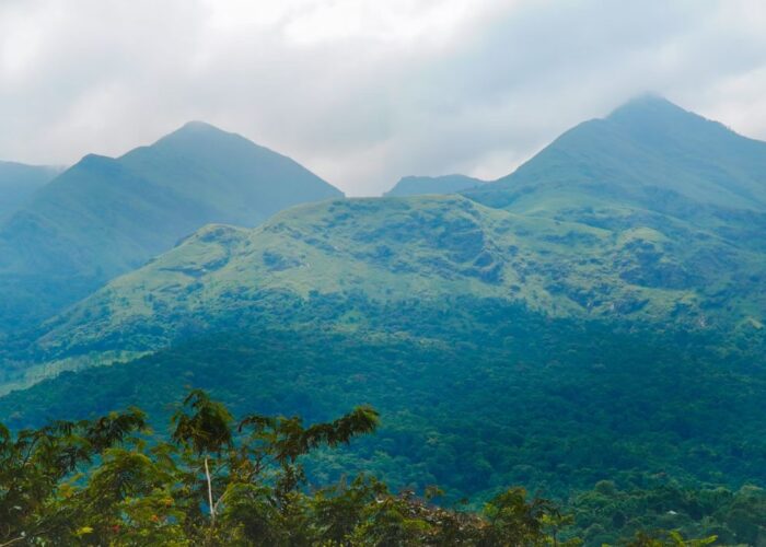 ppooppanthaadi-tour-koonichimalai