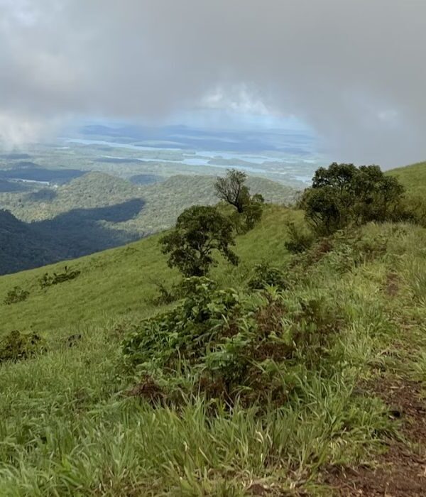 appooppanthaadi-tour-kodachadri-trek