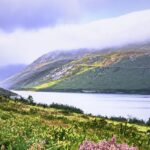 appooppanthaadi-tour-silent-valley