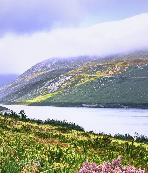 appooppanthaadi-tour-silent-valley