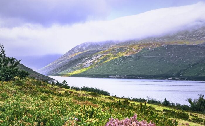 appooppanthaadi-tour-silent-valley