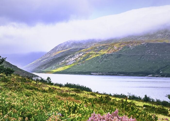 appooppanthaadi-tour-silent-valley