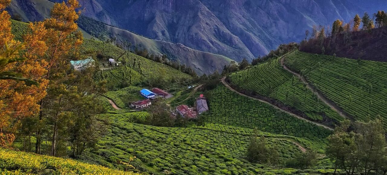 appooppanthaadi-kolukkumalai-trek