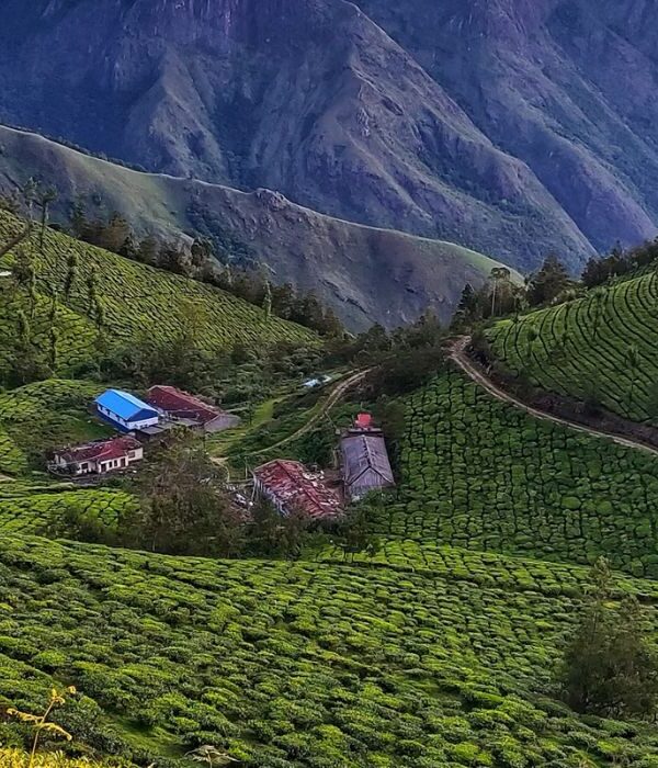 appooppanthaadi-kolukkumalai-trek