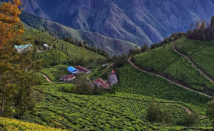 appooppanthaadi-kolukkumalai-trek