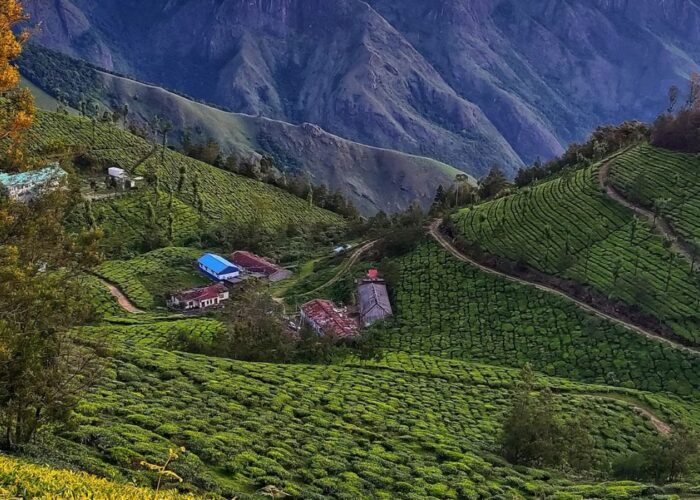 appooppanthaadi-kolukkumalai-trek