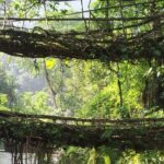 appooppanthaadi-tour-meghalaya