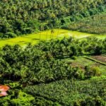 appooppanthaadi-tour-tenkasi