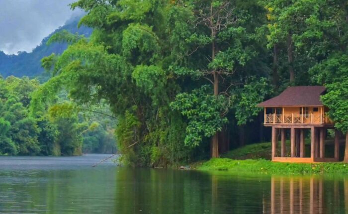 appooppanthaadi-tour-parambikkulam