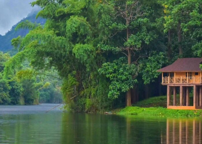 appooppanthaadi-tour-parambikkulam