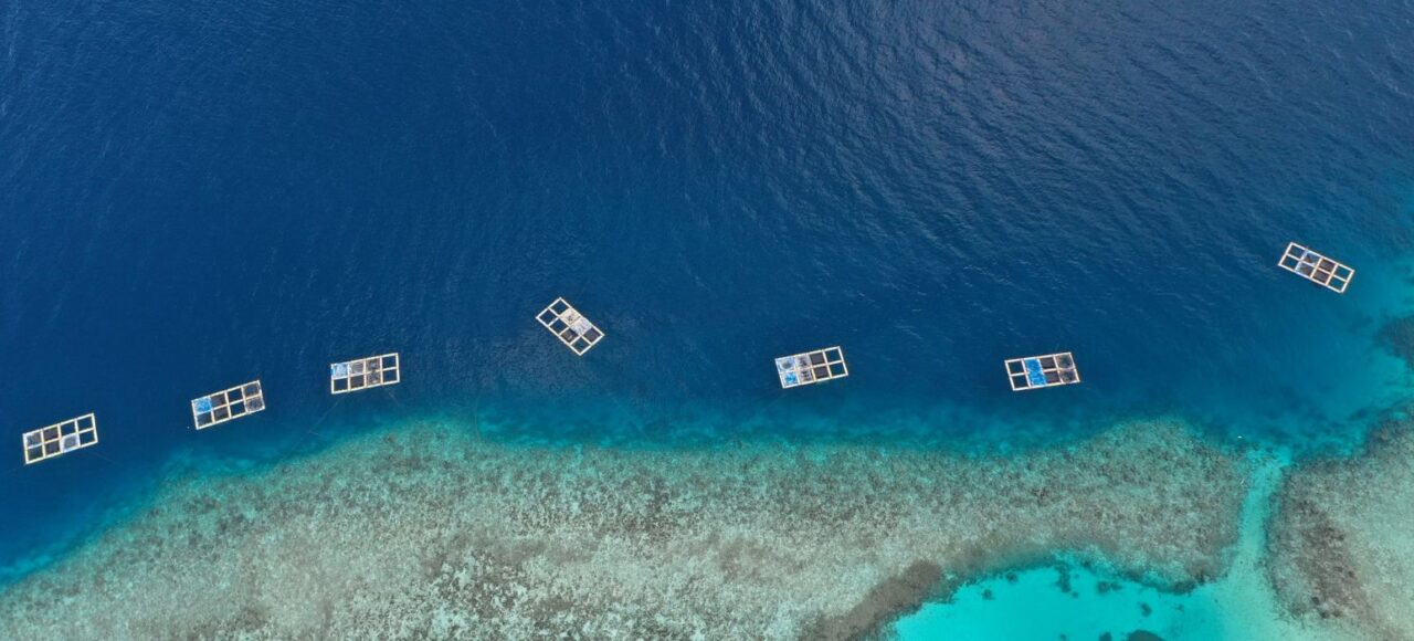 appooppanthaadi-tour-maldives