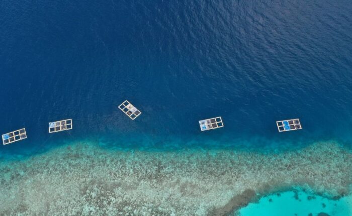 appooppanthaadi-tour-maldives