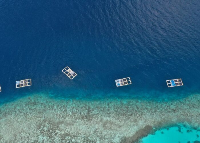 appooppanthaadi-tour-maldives